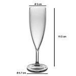 1x Sektglas Kunststoff Plastik PC Mehrweg Glasklar 160 ml Ø 6.7 cm · 19.5 cm