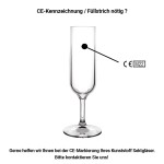 1x Sektglas Kunststoff Plastik PC Mehrweg Glasklar 160 ml Ø 5 cm · 19.5 cm